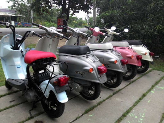 ขายรถป๊อปประกอบใหม่ทุกคัน