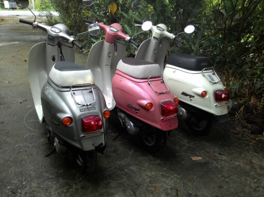 ขายรถป๊อปประกอบใหม่ทุกคัน