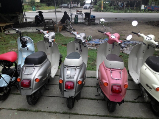 ขายรถป๊อปประกอบใหม่ทุกคัน