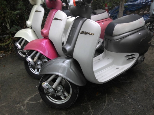 ขายรถป๊อปประกอบใหม่ทุกคัน