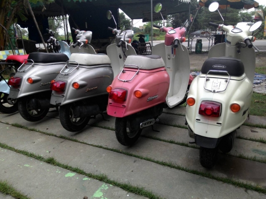 ขายรถป๊อปประกอบใหม่ทุกคัน