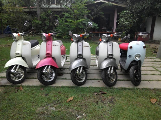 ขายรถป๊อปประกอบใหม่ทุกคัน