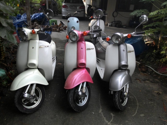 ขายรถป๊อปประกอบใหม่ทุกคัน