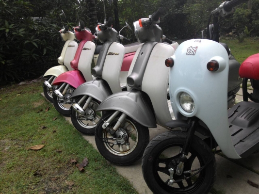 ขายรถป๊อปประกอบใหม่ทุกคัน