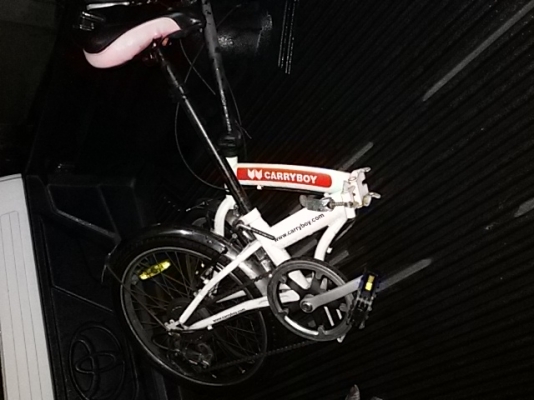 ขายจักรแครี่บอย