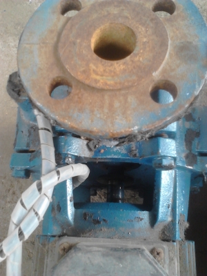 ขาย...ปั๊มน้ำ 3 แรง อิตาลี 4ตัว ขาย...ปั๊มน้ำ 3 แรง อิตาลี 4ตัว