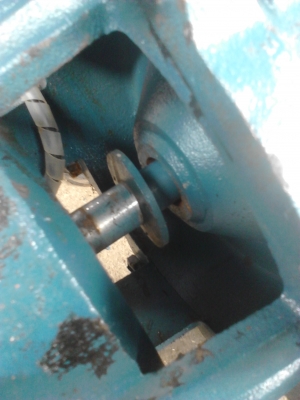 ขาย...ปั๊มน้ำ 3 แรง อิตาลี 4ตัว ขาย...ปั๊มน้ำ 3 แรง อิตาลี 4ตัว