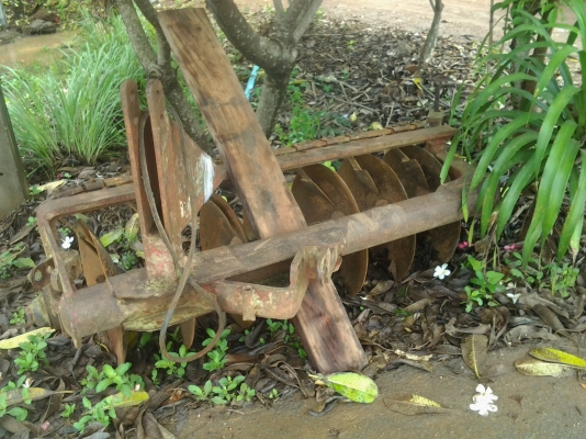 ขายผาน7cmtสวยๆตามสภายคับ