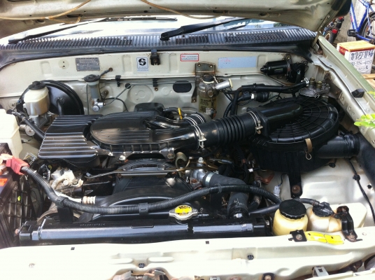 ไทเกอร์แค็ป2500ปี99 ไทเกอร์แค็ป2500ปี99