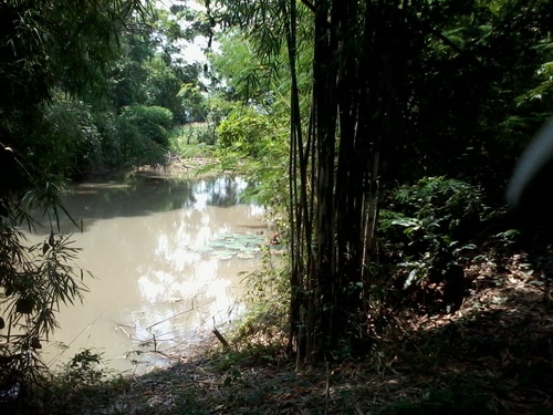 ขายด่วนที่ดินติดถนน ทำเลดี ราคาถูก 30 ไร่ 2 งาน ราคา 130,000 บาทต่อไร่ อ.สีคิ้ว ขายด่วนที่ดินติดถนน ทำเลดี ราคาถูก 30 ไร่ 2 งาน ราคา 130,000 บาทต่อไร่ อ.สีคิ้ว