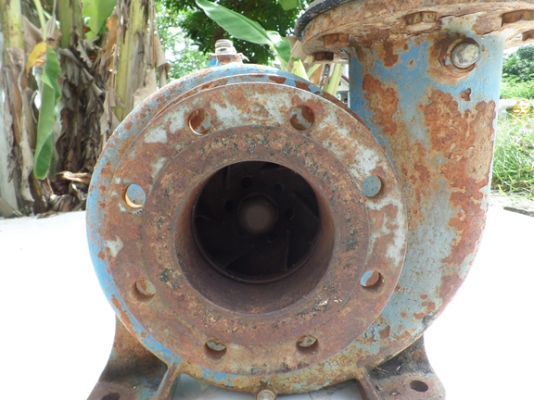 ขายหัวปั้มน้ำหอยโข่ง ของGermany ขนาด เข้า 6 นิ้ว