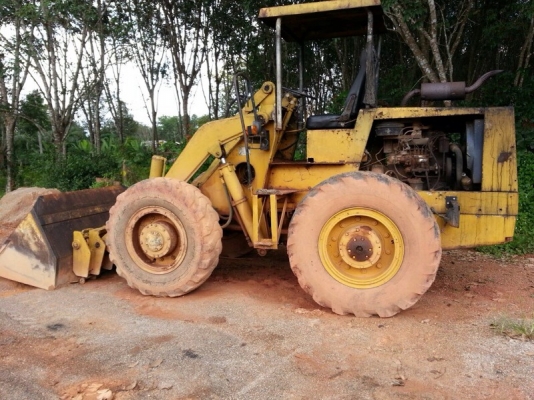 รถตัก TCM  /  4 สูบ.  สนใจติดต่อ 081 - 6079515