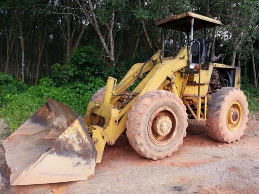 รถตัก TCM  /  4 สูบ.  สนใจติดต่อ 081 - 6079515