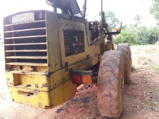 รถตัก TCM  /  4 สูบ.  สนใจติดต่อ 081 - 6079515