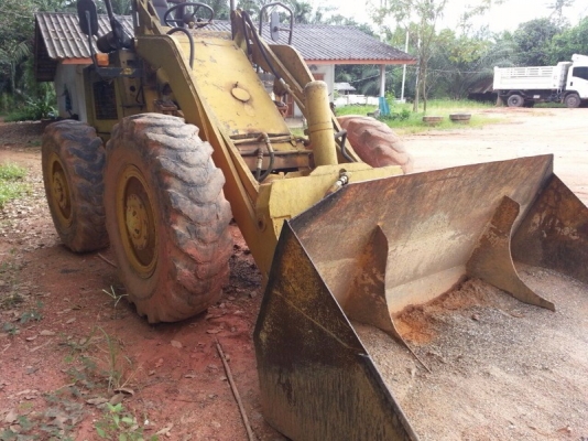 รถตัก TCM  /  4 สูบ.  สนใจติดต่อ 081 - 6079515