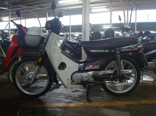 ดรีม 100 ตูดเป็ดเดิมๆ