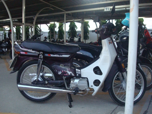 ดรีม 100 ตูดเป็ดเดิมๆ ดรีม 100 ตูดเป็ดเดิมๆ