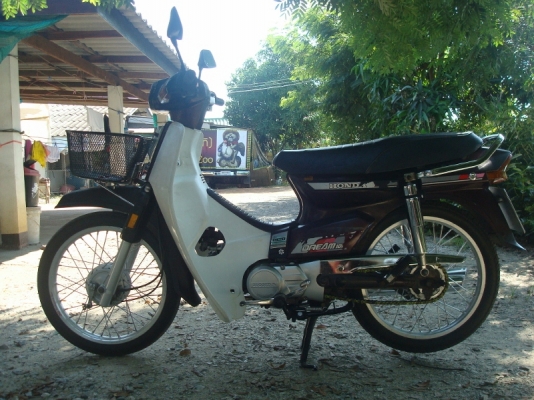 ดรีม 100 ตูดเป็ดเดิมๆ ดรีม 100 ตูดเป็ดเดิมๆ