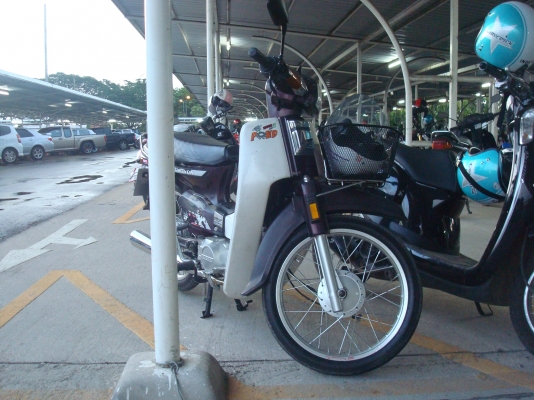 ดรีม 100 ตูดเป็ดเดิมๆ ดรีม 100 ตูดเป็ดเดิมๆ