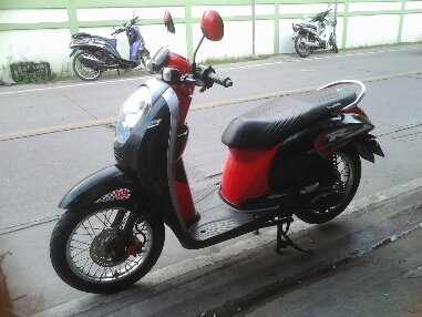 สกุบปี้iปี2553