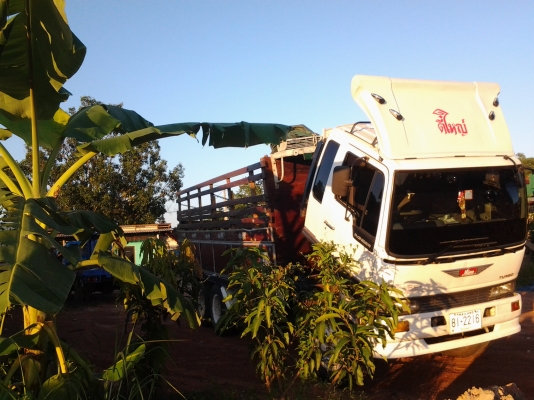 HINO FM176 หัวสิงไฮเทค เครื่อง185แรงHO7C แอร์เย็น เบรคลมใหญ่ มาลัยเพาเวอร์ ภายในสวย ภาษีเต็ม