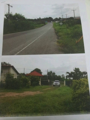 ขายที่ดิน 26 ไร่ ต.พนานิคม จังหวัดระยอง