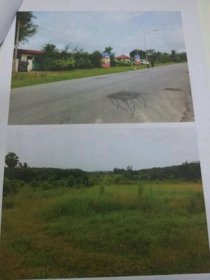 ขายที่ดิน 26 ไร่ ต.พนานิคม จังหวัดระยอง