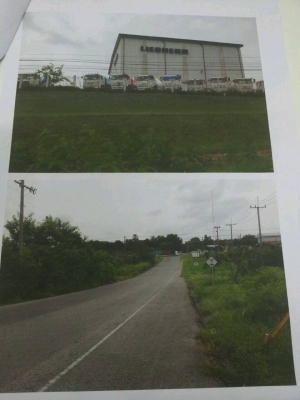 ขายที่ดิน 26 ไร่ ต.พนานิคม จังหวัดระยอง