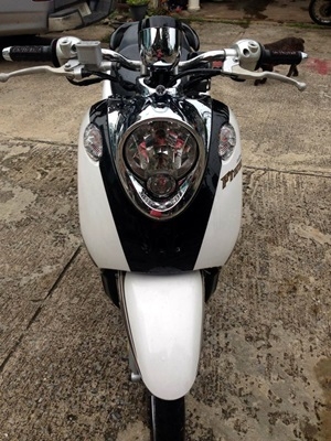 ฟีโน่ปี 56