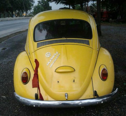 ขายโฟลค์เต่า ตาหวาน