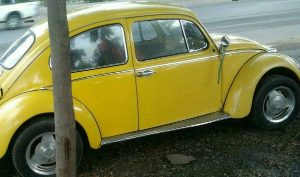 ขายโฟลค์เต่า ตาหวาน