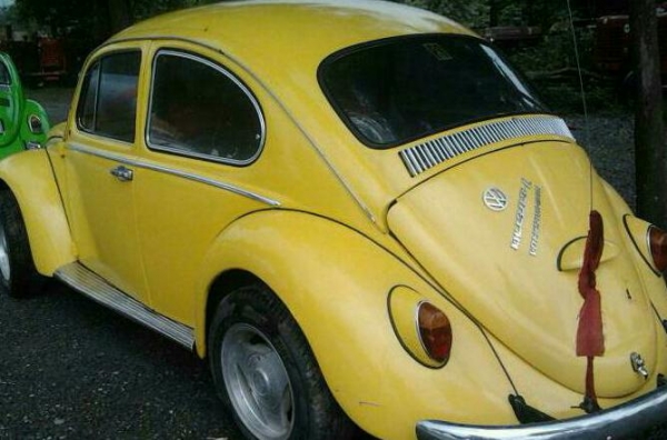 ขายโฟลค์เต่า ตาหวาน