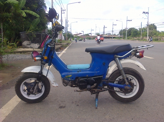 ขายชาลี ราคา   8300