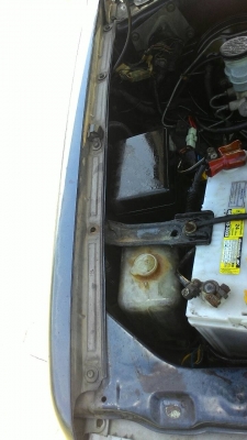 มังกร 96 แค้ปรถสวยสภาพดี ขายไม่แพง มังกร 96 แค้ปรถสวยสภาพดี ขายไม่แพง