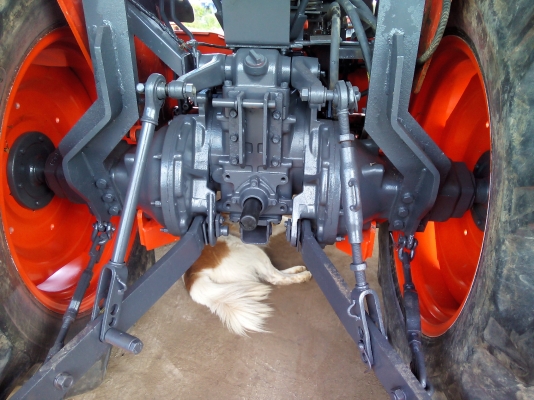 ขอบคุณเสี่ยใหญ่ใจดี จาก จ.กาฬสิน มาจับไปแล้วครับ