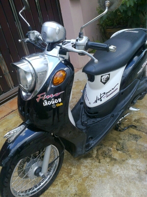 ขายFino ปี51 รถบ้านเครื่องเดิมๆ