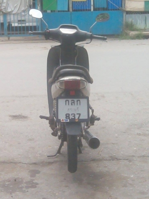 ขาย HONDA WAVE 100 ขาย HONDA WAVE 100