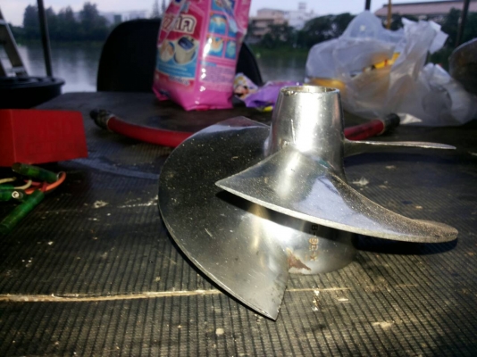 ขายใบsolaใส่บัดเตอร์1