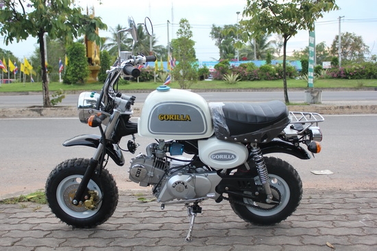 มังกี้และกอลิล่านำเข้า รถใหม่ๆ เครื่องแรงๆ 110ccเป็นรถจีนคับ