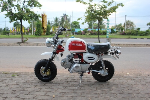 มังกี้และกอลิล่านำเข้า รถใหม่ๆ เครื่องแรงๆ 110ccเป็นรถจีนคับ