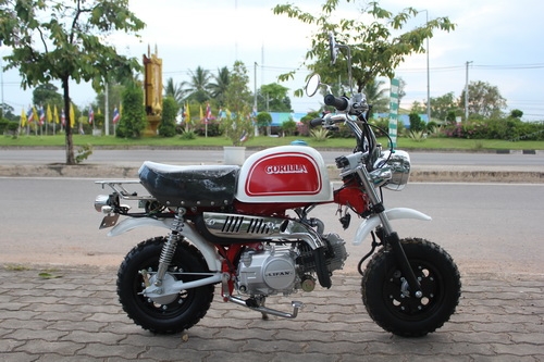 มังกี้และกอลิล่านำเข้า รถใหม่ๆ เครื่องแรงๆ 110ccเป็นรถจีนคับ