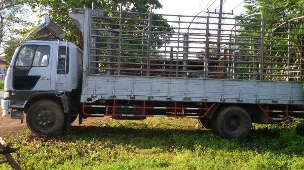 ขายHINO FF1J เครื่อง210แรง ยาว6.20ม พ.เพาเวอร์ เบรกทิฟฟี่ แอร์เย็น เครื่องดี คัชซีสวย สภาพพร้อมใช้งาน เอกสารพร้อมโอน จัดไฟนนซ์ได้ เงื่อนไขง่ายๆวันเดียวรับรถ สนใจโทร090-8588220คุณนะ  ID:narong498 หรือwww.truck.in.th/498