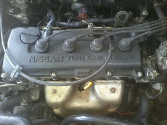 ขายด่วน Sunny B 14 57,000 บาท