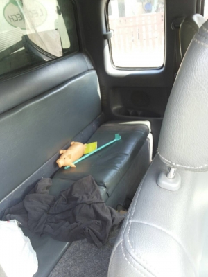 tiger x tra  cab  ABS ปี2000 เครื่อง 2500 ตามสภาพ