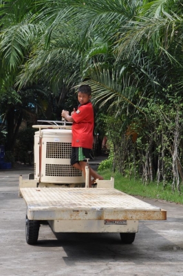 ขายรถKAWASAKI สตาร์ทไฟฟ้า.บรรทุกสินค้าการเกษตร&amp;ก่อสร้าง สภาพสวยเดิมจากญี่ปุ่นยังไม่เคยใช้งานในไทย 45,000บาท!!