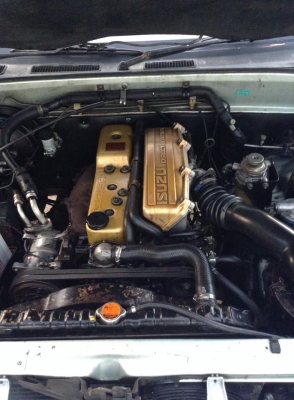 ขาย หน้าหนูเเท้ๆๆ  ราคาโดนจัย ราคาตอด้ายนิดหน่อย