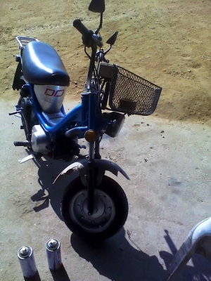 ขายชิบปี้ไฟเหลี่ยม(ลด7000)