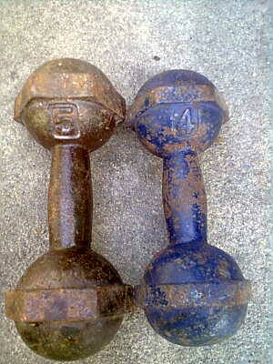 ดัมเบล 2 อัน ขนาด 5 กิโล และ 4 กิโล