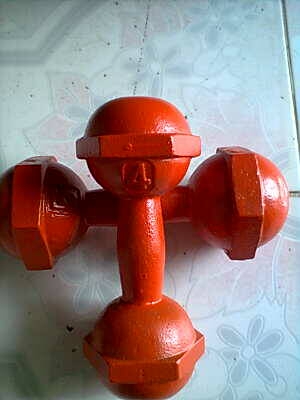 ดัมเบล 2 อัน ขนาด 5 กิโล และ 4 กิโล