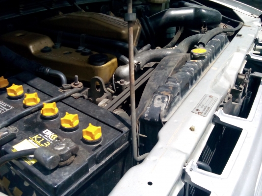 ขาย ISUZU TFR 2.5 SLX CAB ปี 94 พาวเวอร์โรงงาน กระจกไฟฟ้า ซ.ล็อก รถสวยบางๆ สมบูรณ์ พร้อมใช้ คันนี้ไม่ผิดหวัง ขาย ISUZU TFR 2.5 SLX CAB ปี 94 พาวเวอร์โรงงาน กระจกไฟฟ้า ซ.ล็อก รถสวยบางๆ สมบูรณ์ พร้อมใช้ คันนี้ไม่ผิดหวัง